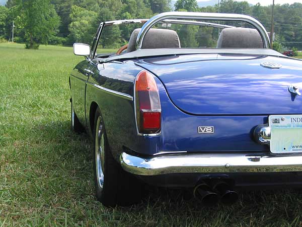 V8 badge and roll hoop